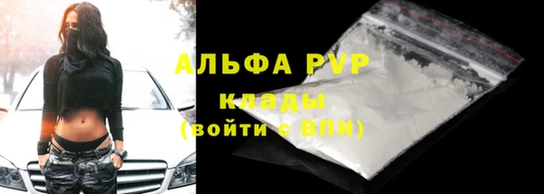 прущие крисы Инта