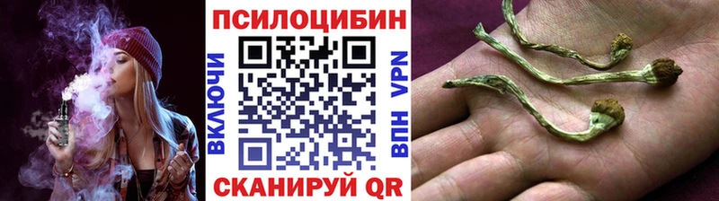 Галлюциногенные грибы Psilocybine cubensis  Купить где  Истра 