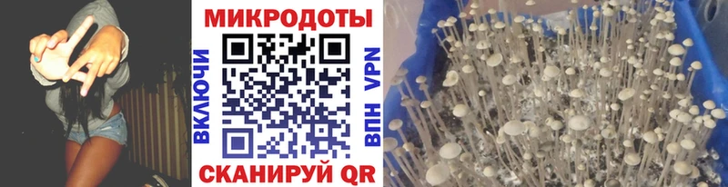 Псилоцибиновые грибы GOLDEN TEACHER Истра
